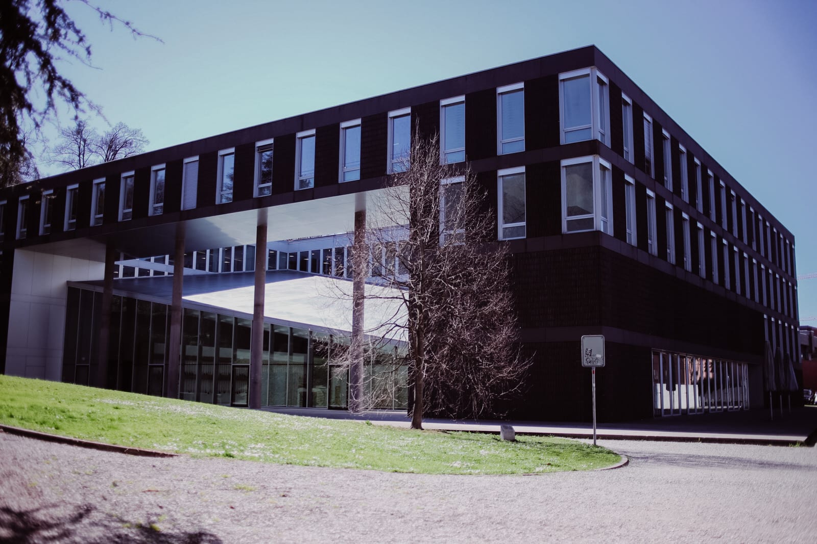 Business Photography