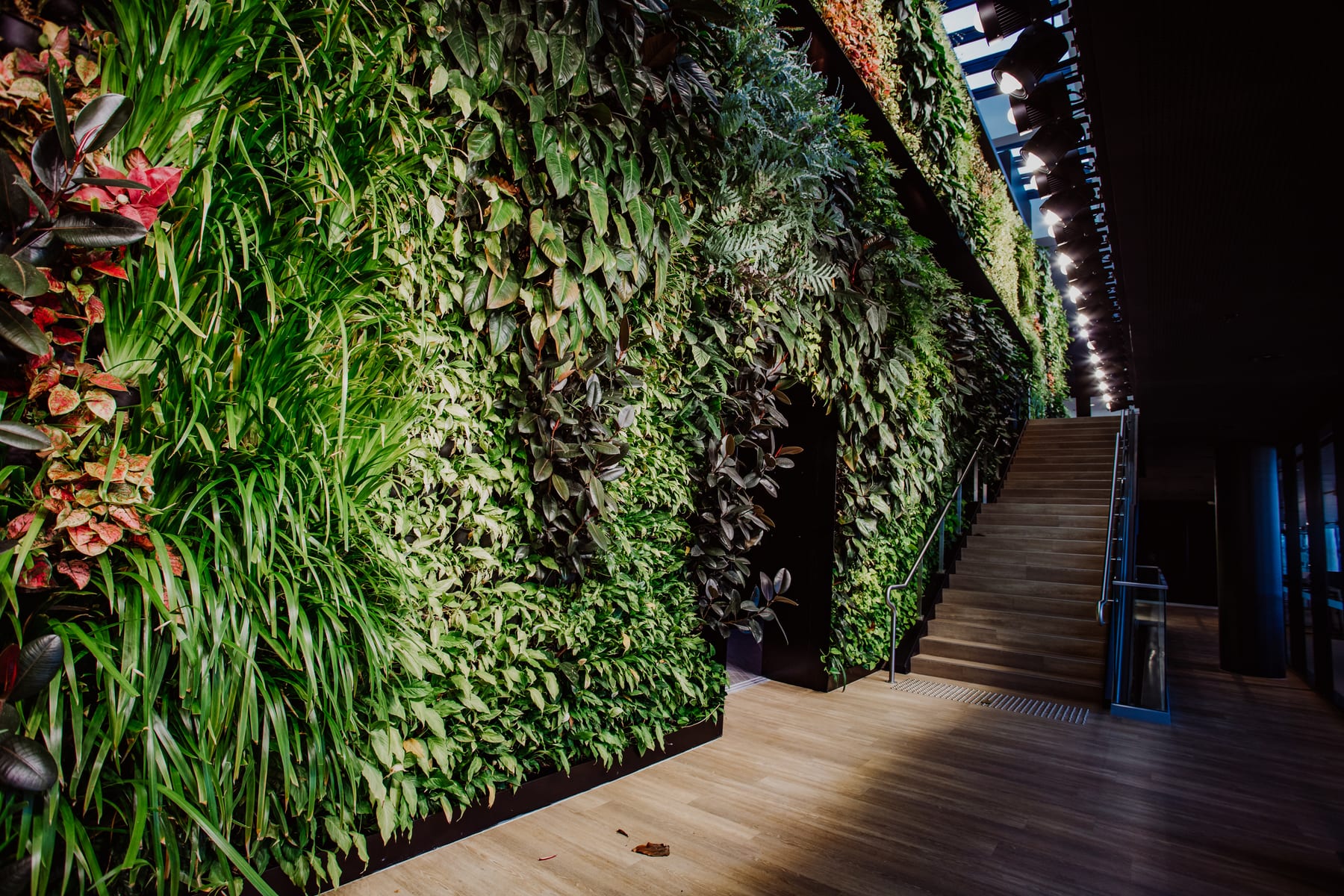 Business Photography