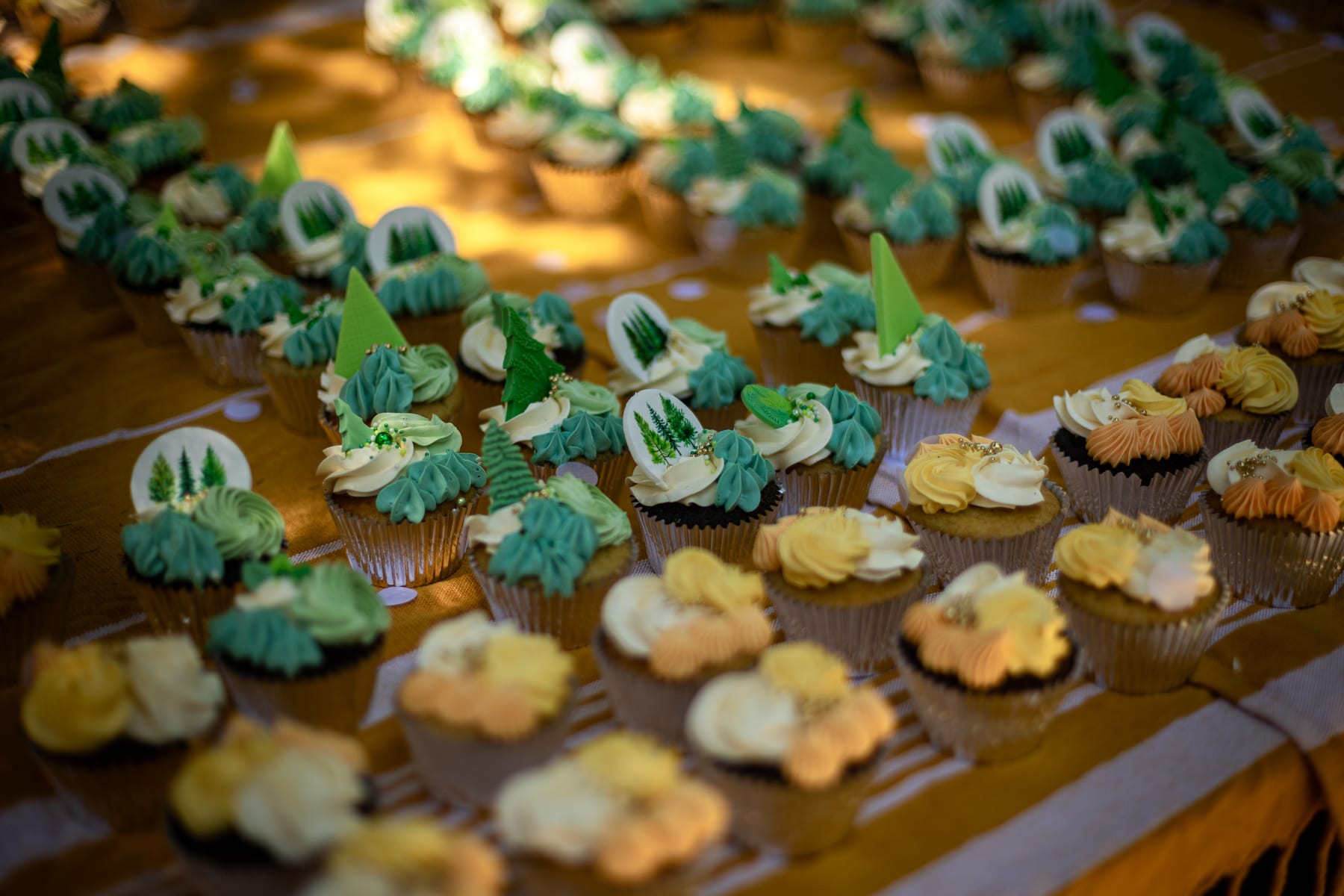 Haig Park's Centenary