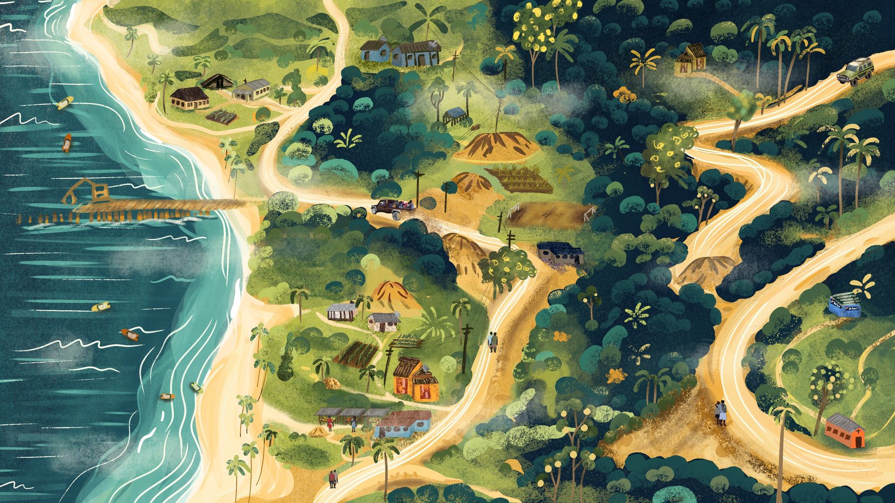 Illustrations