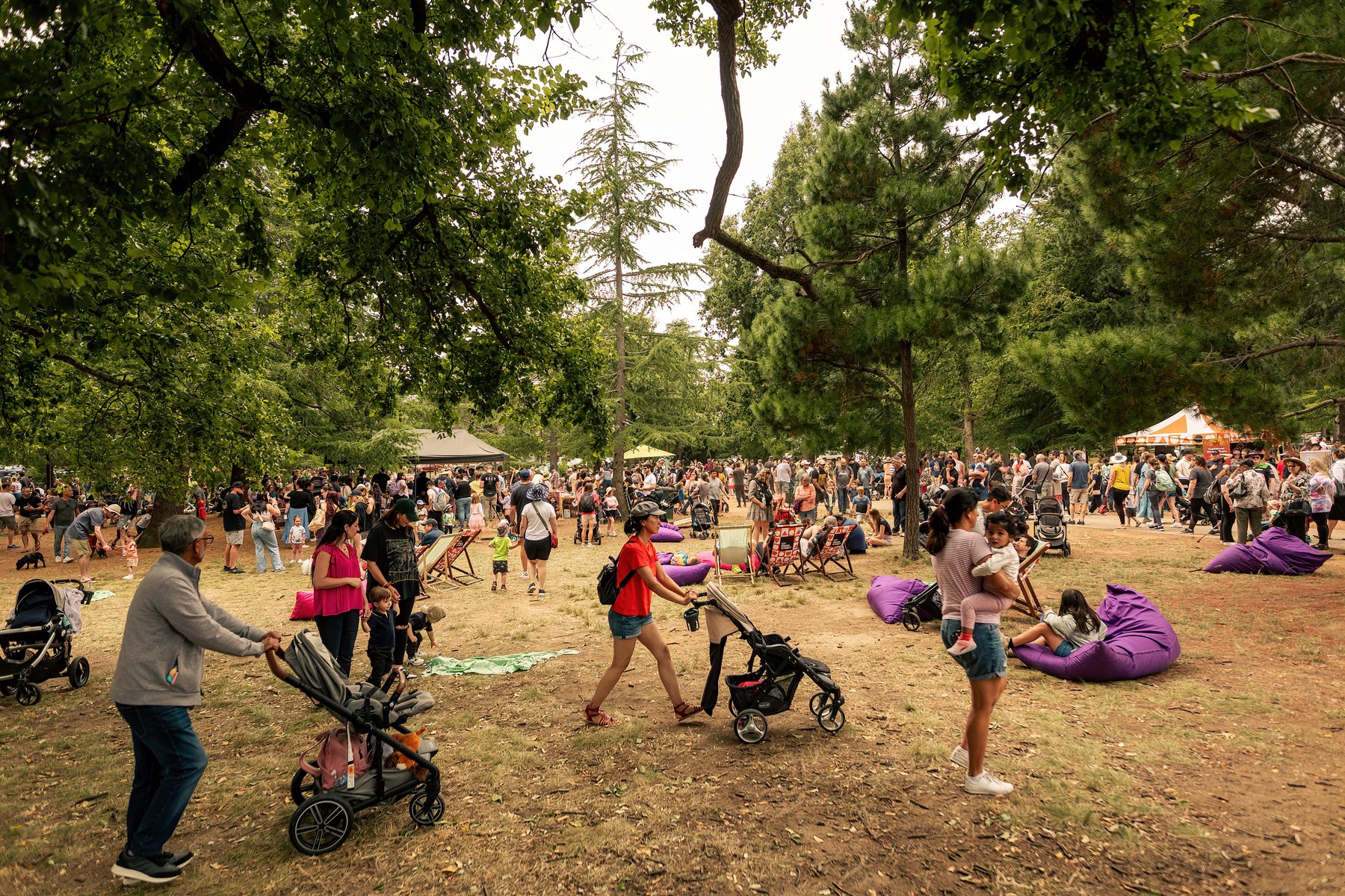 Jurassic Haig Park