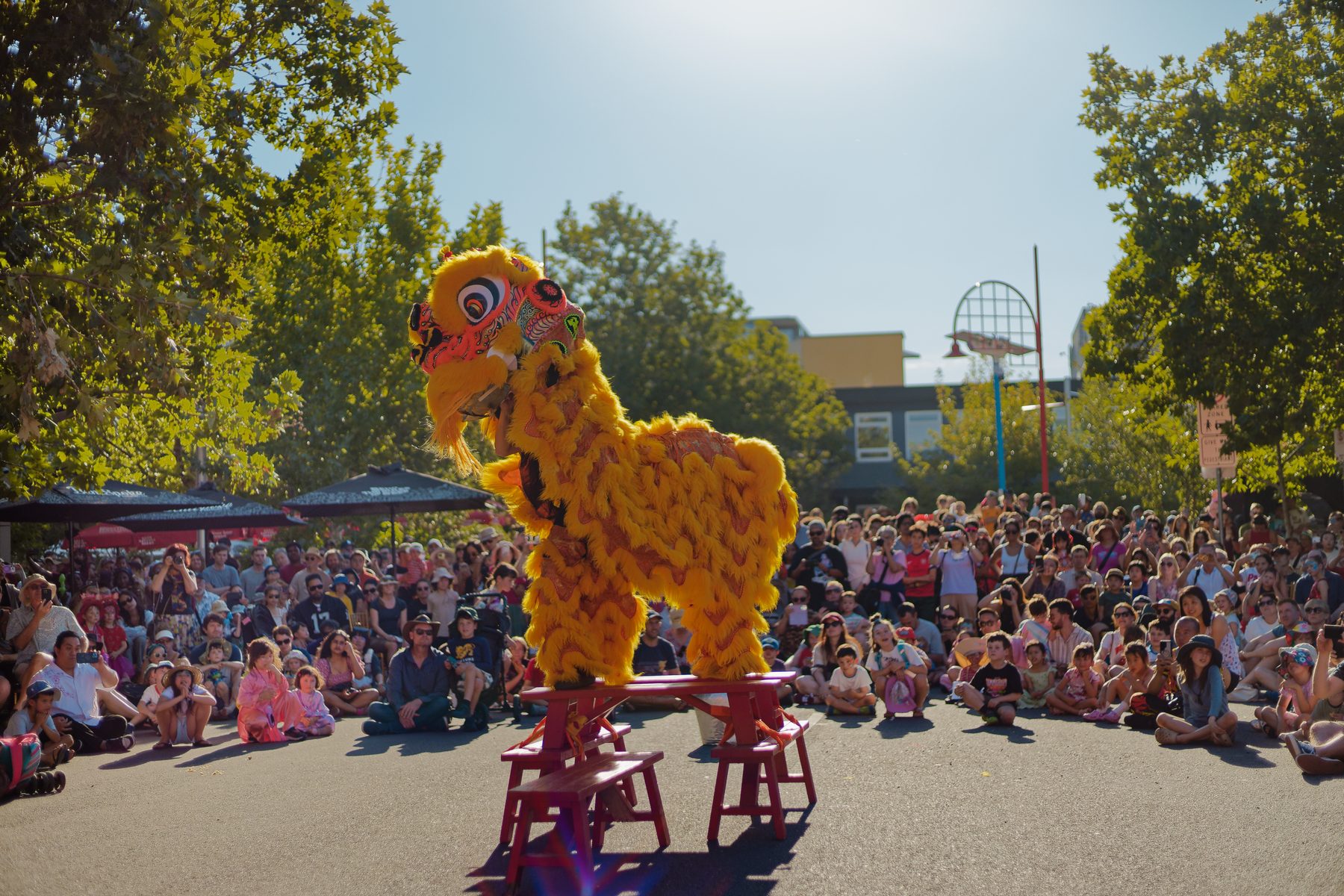 Lunar New Year