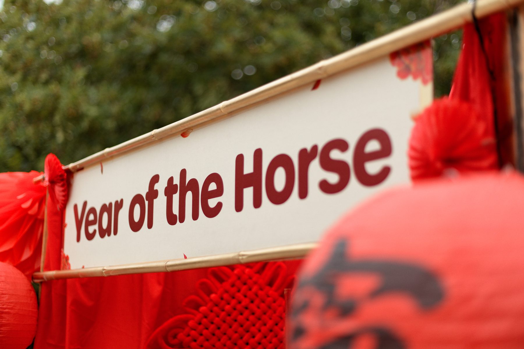 Lunar New Year