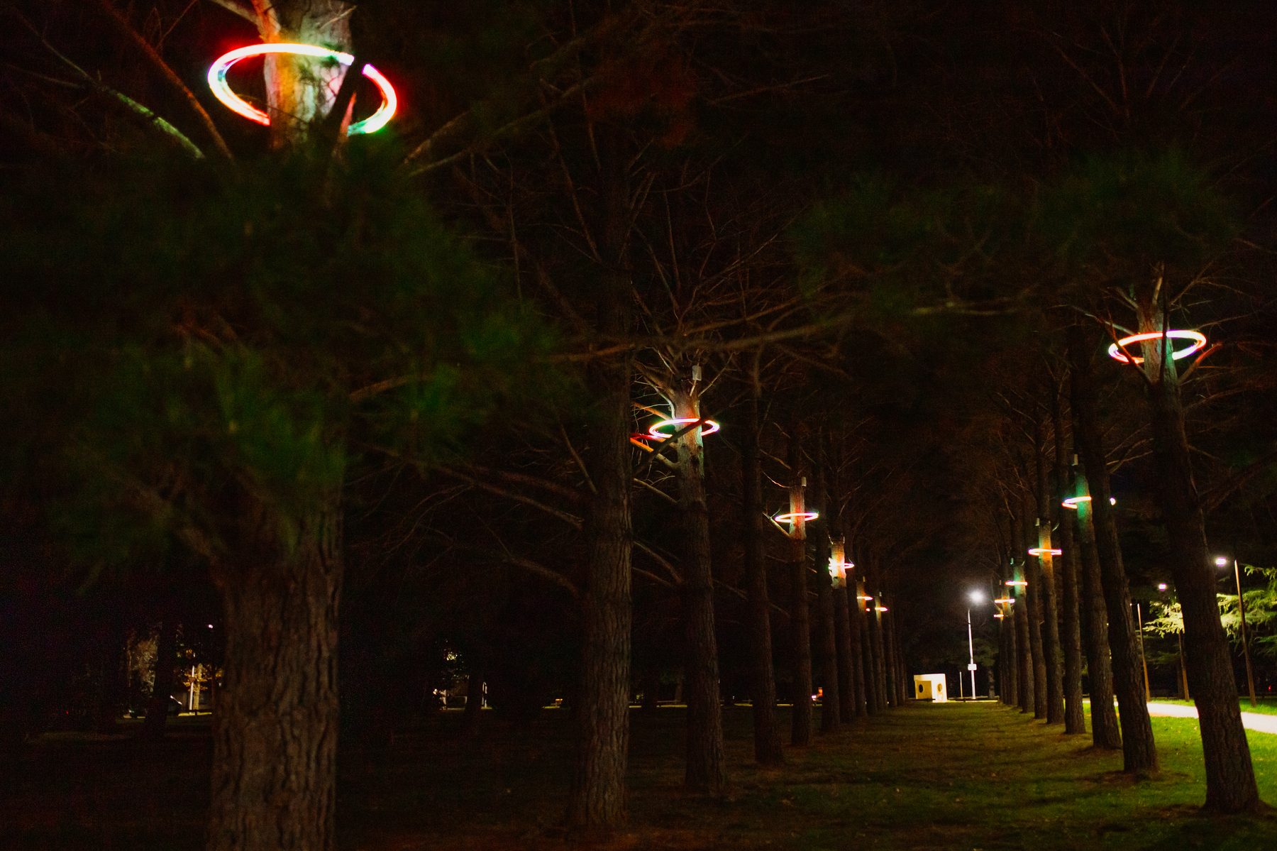 Ngala Rings