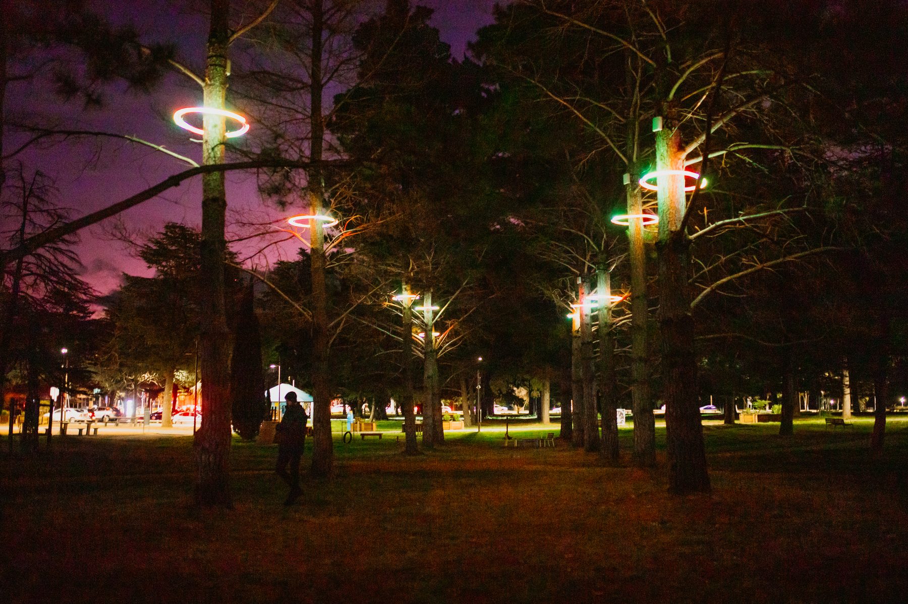 Ngala Rings