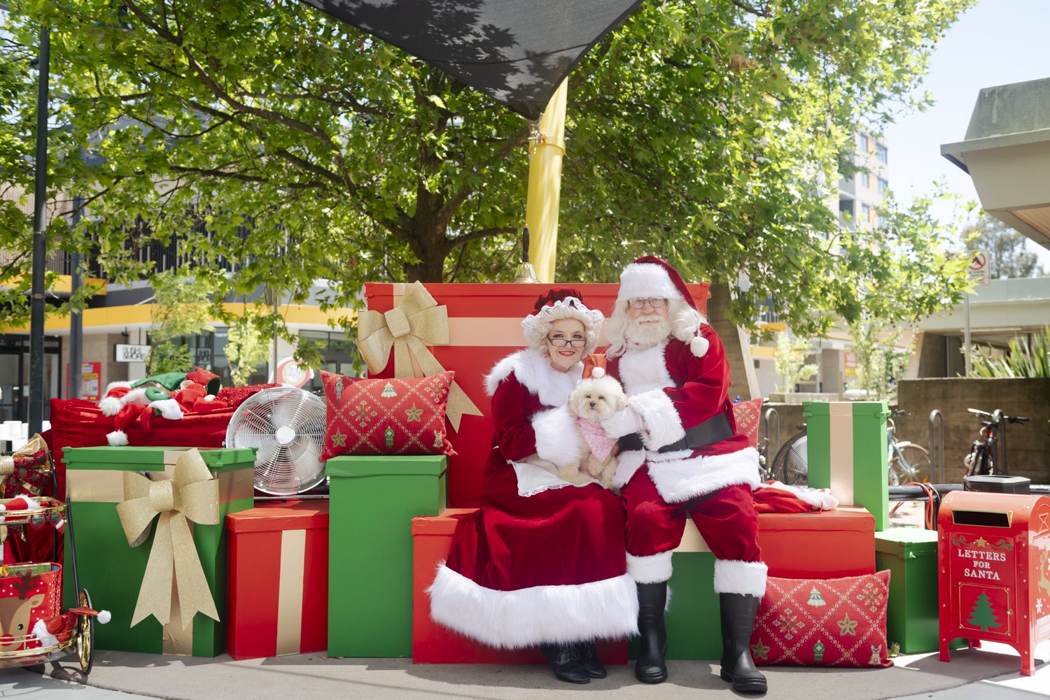 Santa's Throne