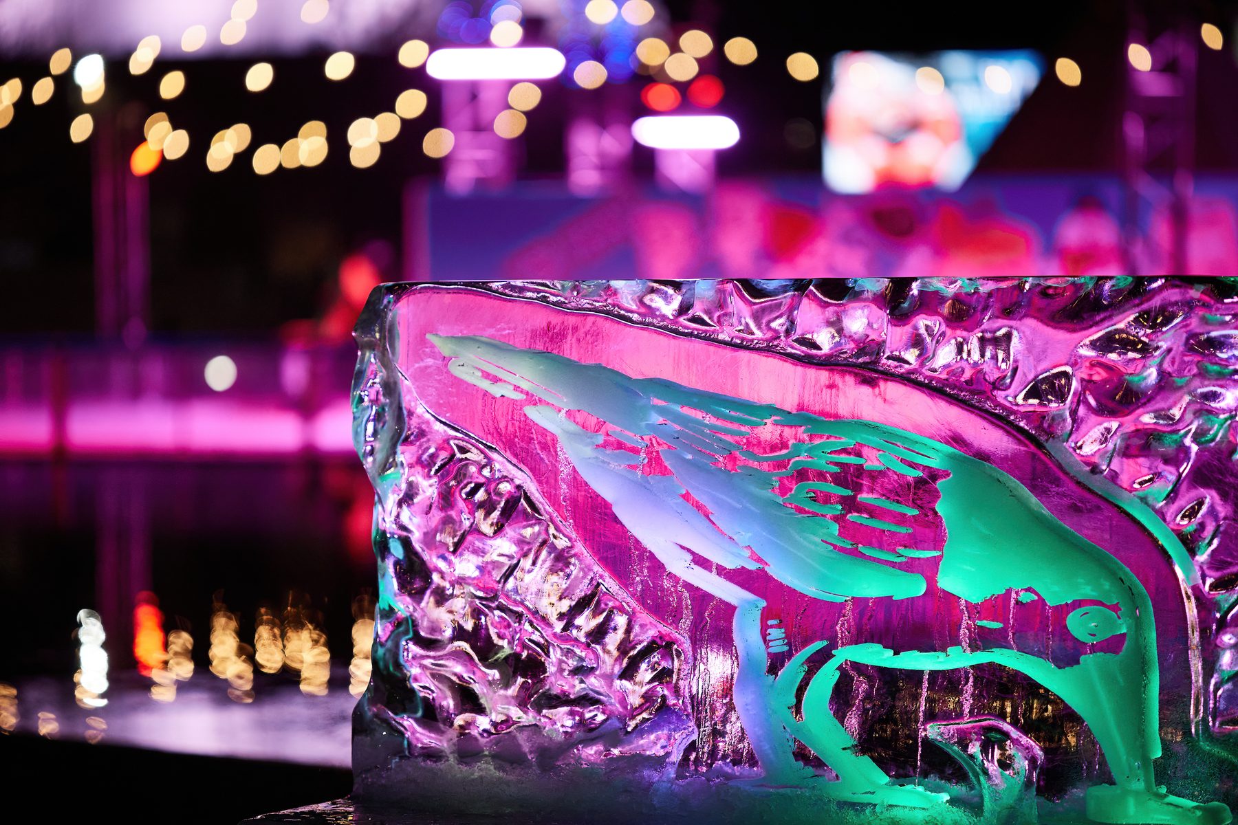 Winter Sculptures