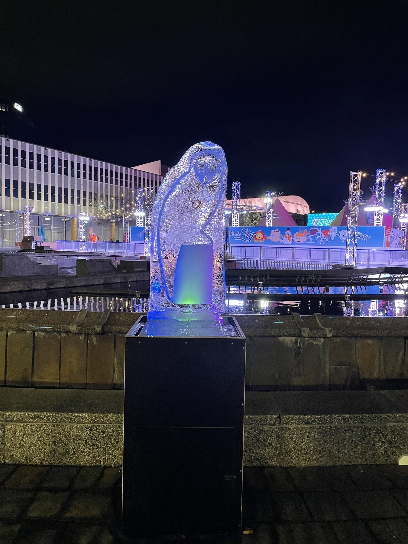 Winter Sculptures