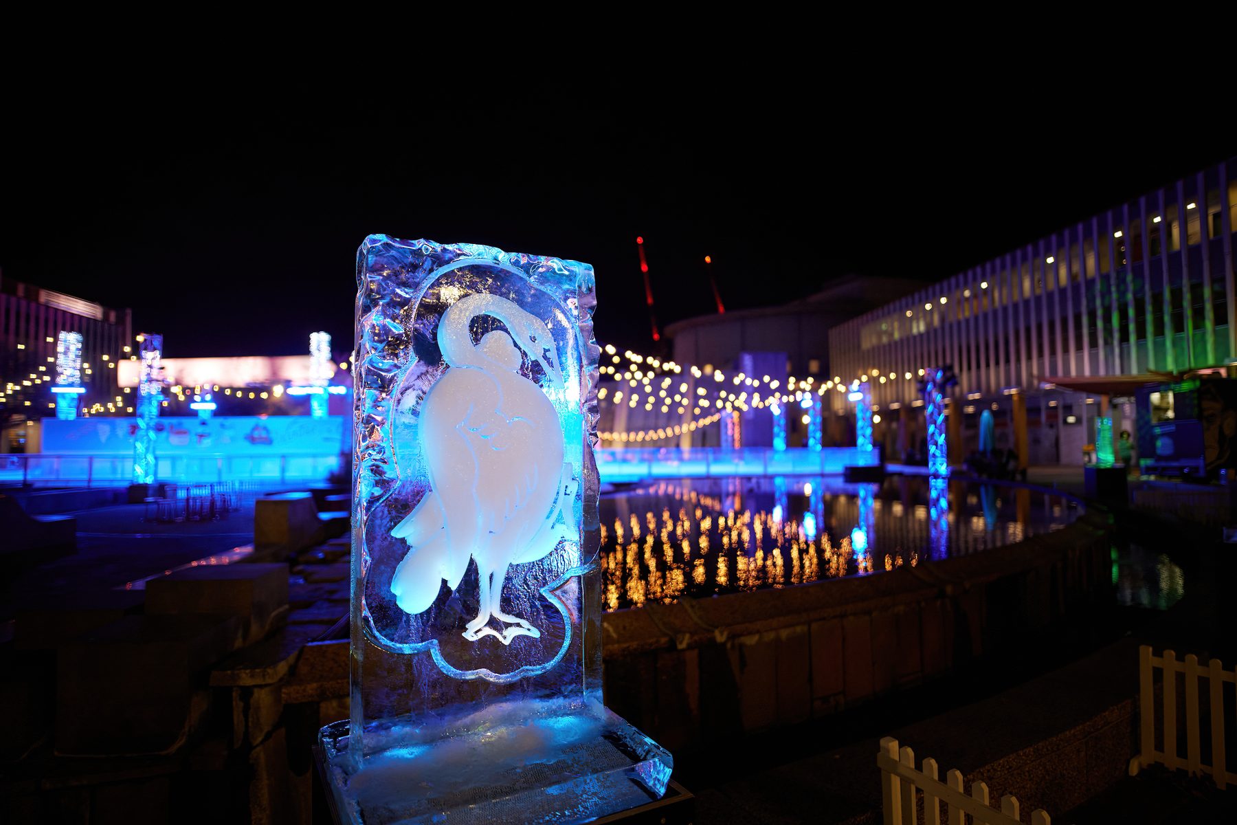 Winter Sculptures