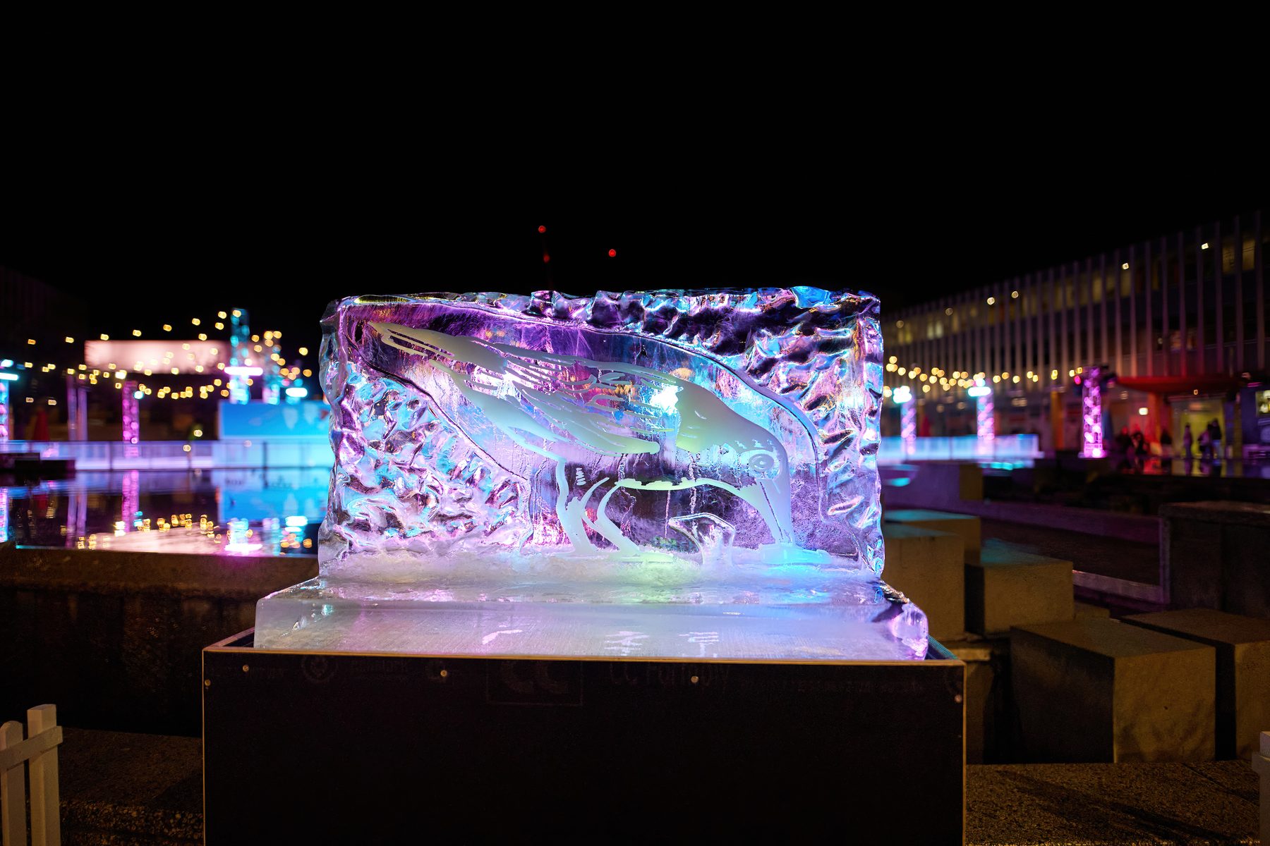 Winter Sculptures