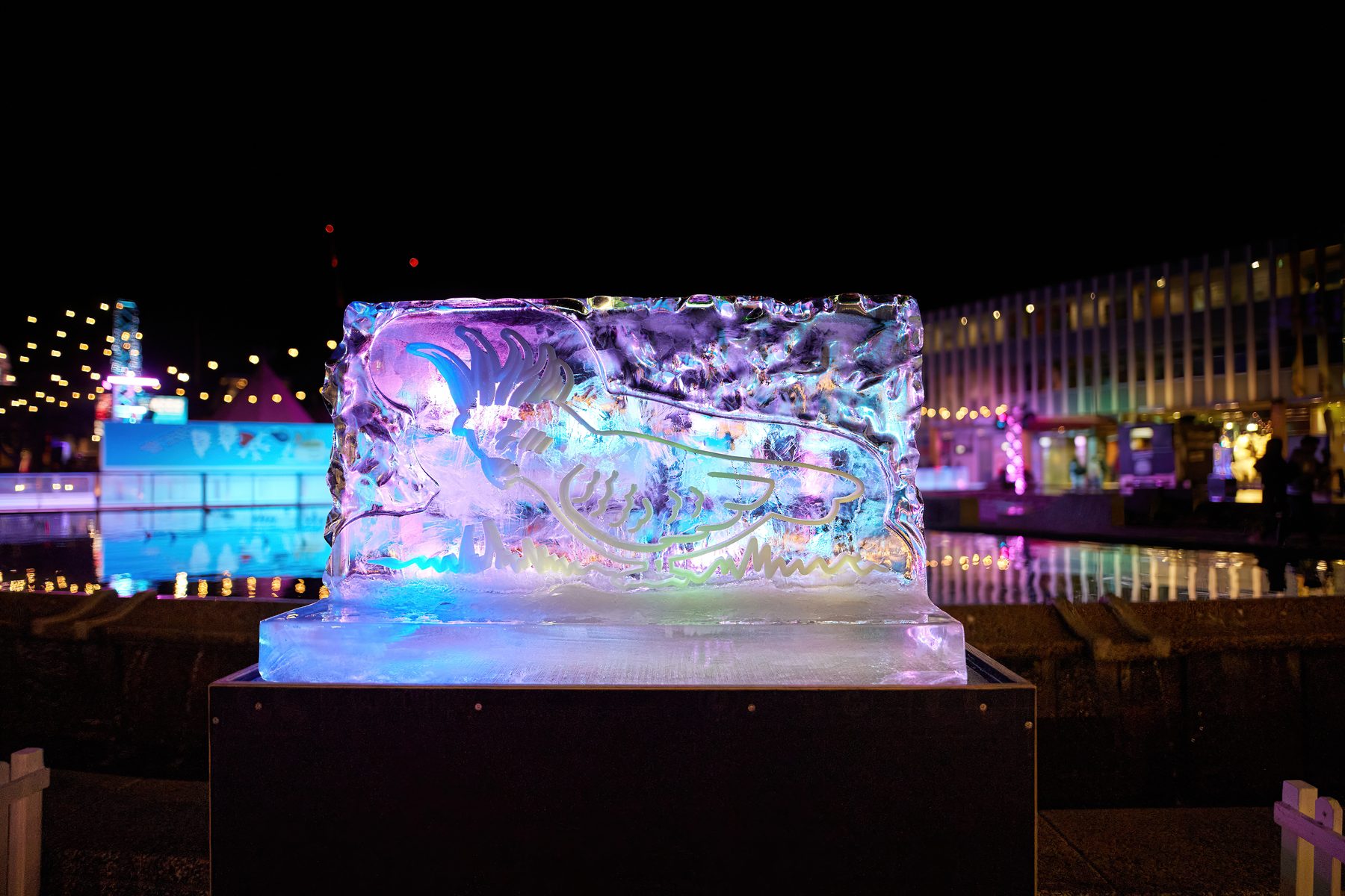 Winter Sculptures