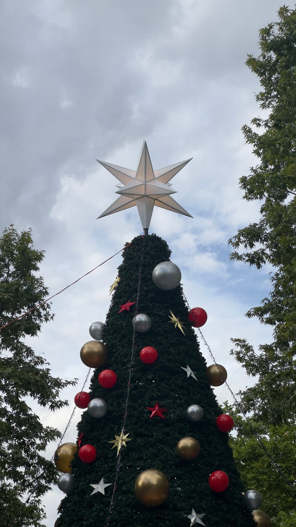 Christmas in the City